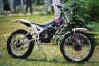 MINSK-TRIAL